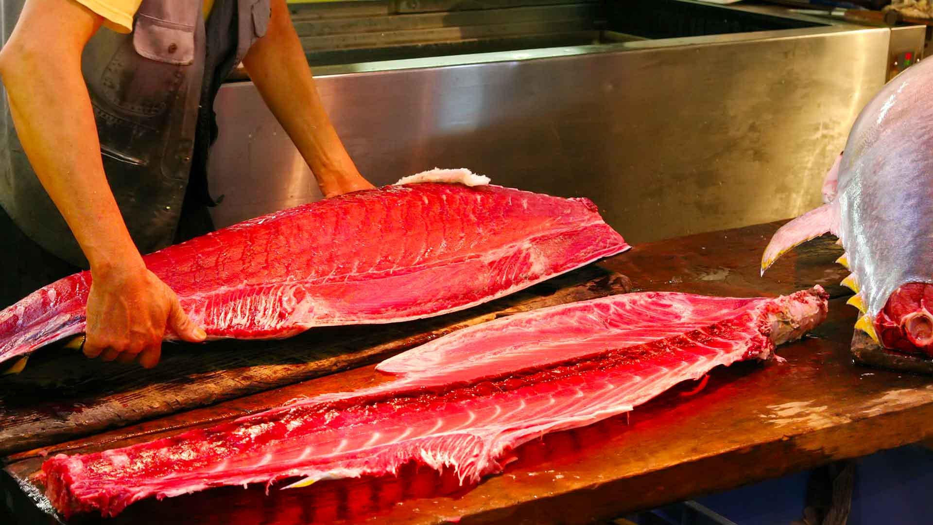 🐟 도쿄도 중앙 도매 시장 아다치 시장 (도쿄토 주오오로시우리시조 아다치시조) 이미지 7